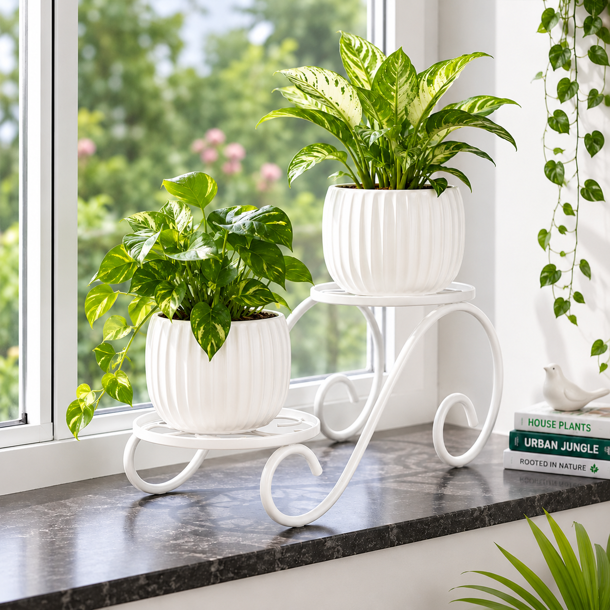 Twinset Stand for Plants (Pack of 1)